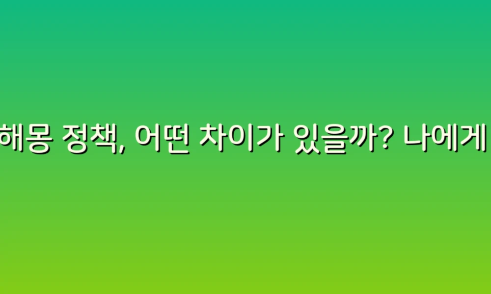 꿈해몽 정책, 어떤 차이가 있을까? 나에게 맞는 해몽 찾기!