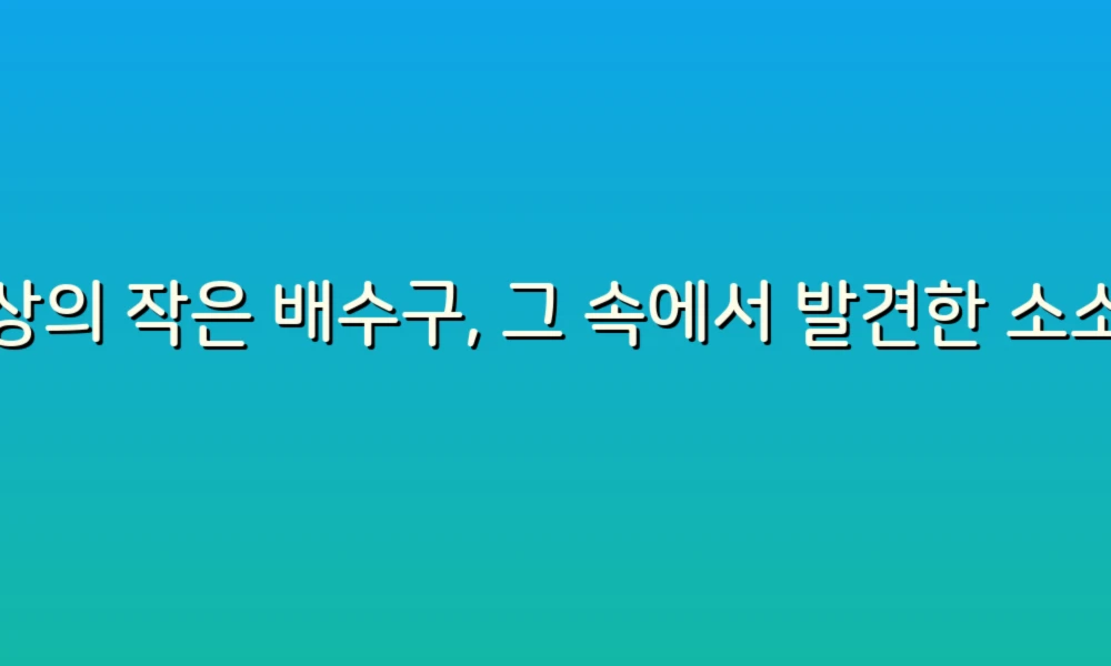 일상의 작은 배수구, 그 속에서 발견한 소소한 행복들