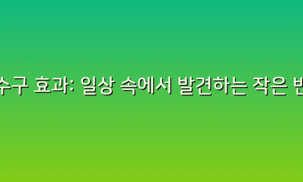 배수구 효과: 일상 속에서 발견하는 작은 변화의 힘!