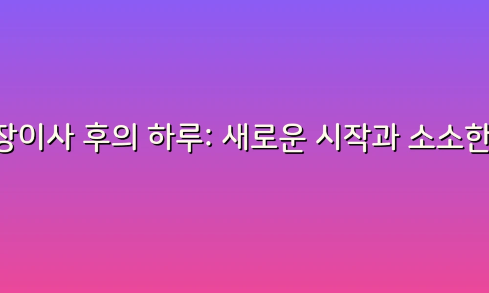 포장이사 후의 하루: 새로운 시작과 소소한 감정들