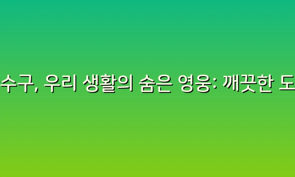 하수구 정보